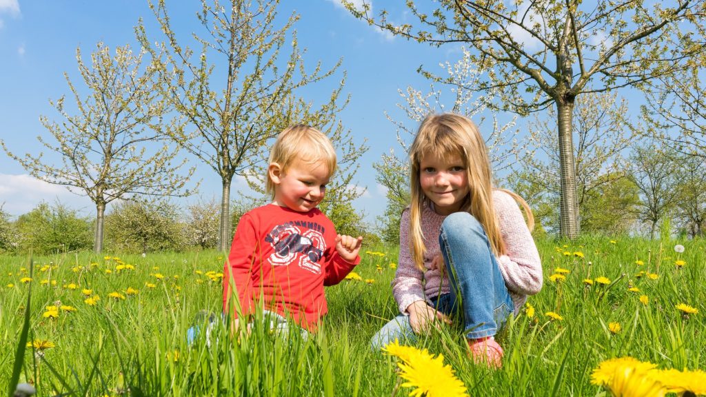 children-1385432_1920